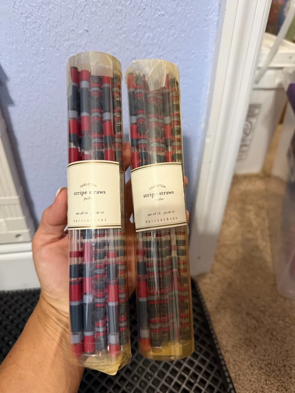 Pottery Barn Red, Blue & Gray Stripe Reusable Straws